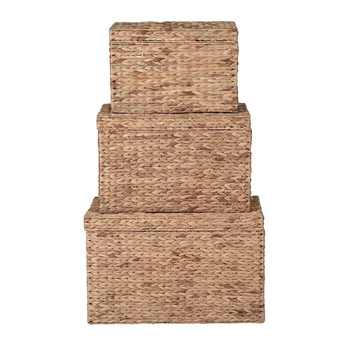 Set Of 3 Woven Hyacinth Trunks