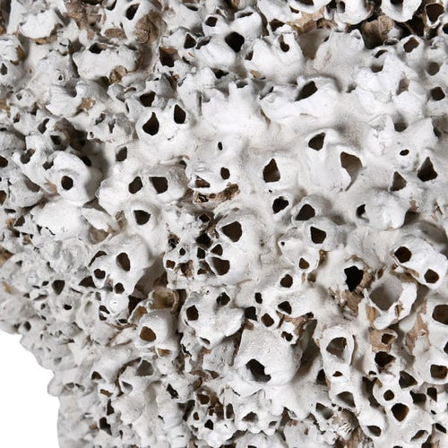 Tall Textured Barnacle Vase