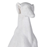 Sitting White Greyhound