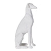 Sitting White Greyhound