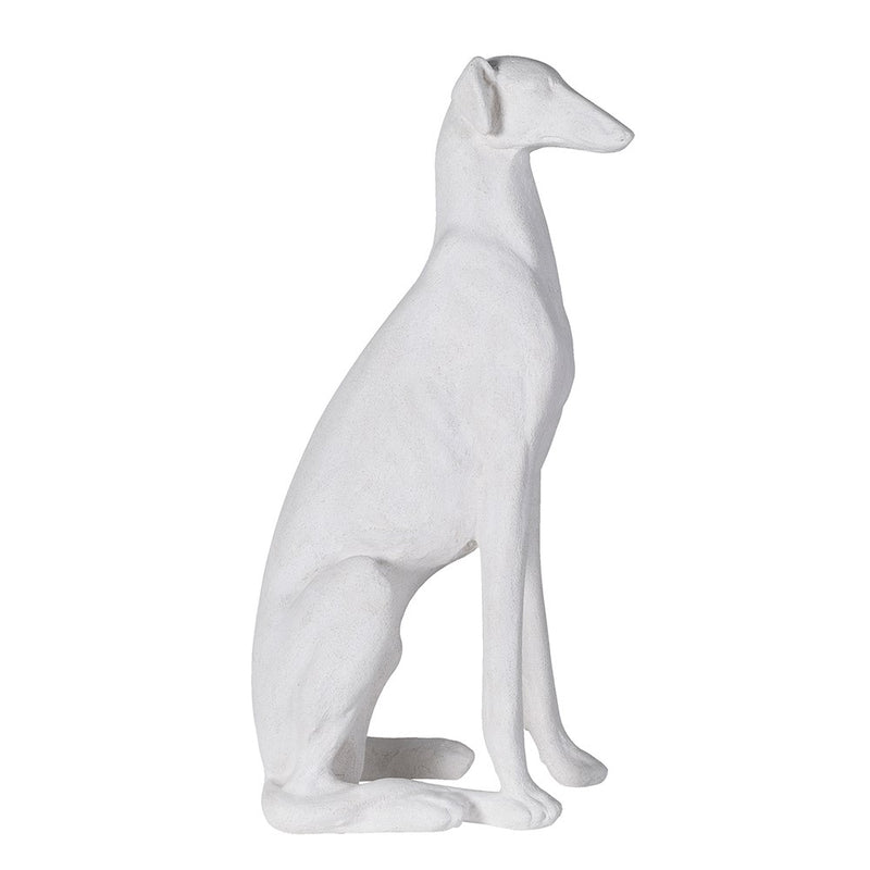 Sitting White Greyhound