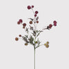 Purple Globe Thistle Stem
