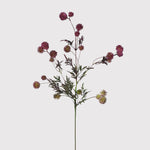 Purple Globe Thistle Stem