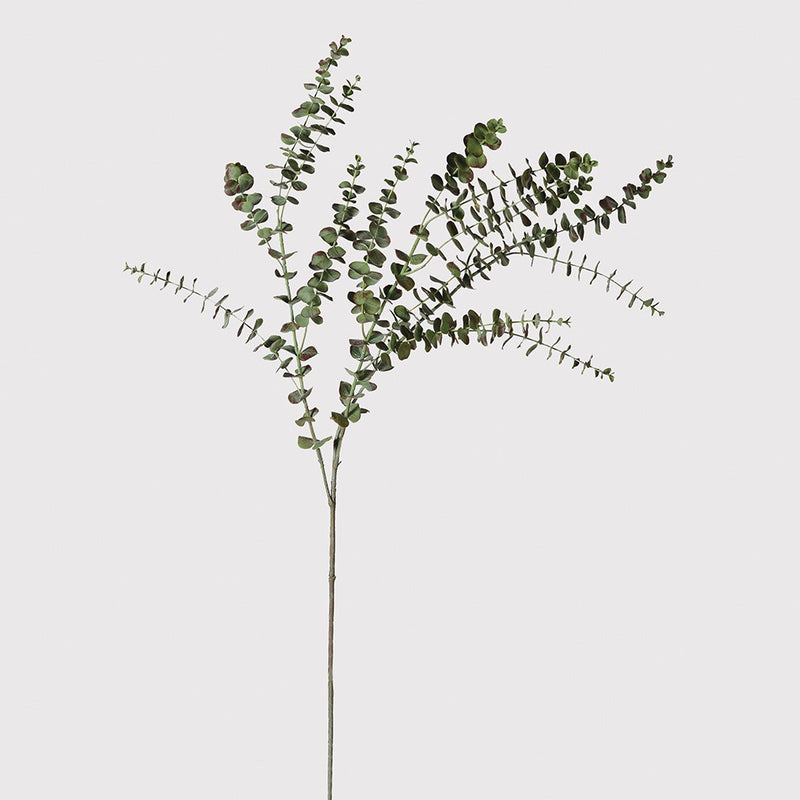 Tall Baby Leaf Eucalyptus Stem