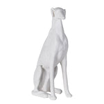 Sitting White Greyhound