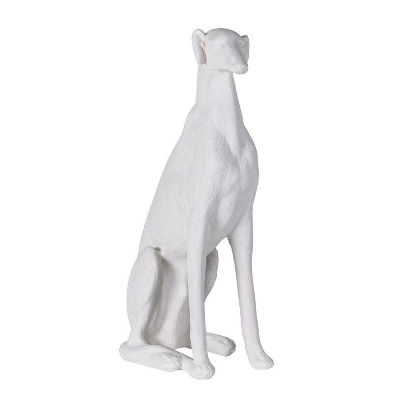 Sitting White Greyhound