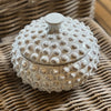 Distressed Off White Bobble Jar