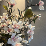 White Blush Magnolia Stem