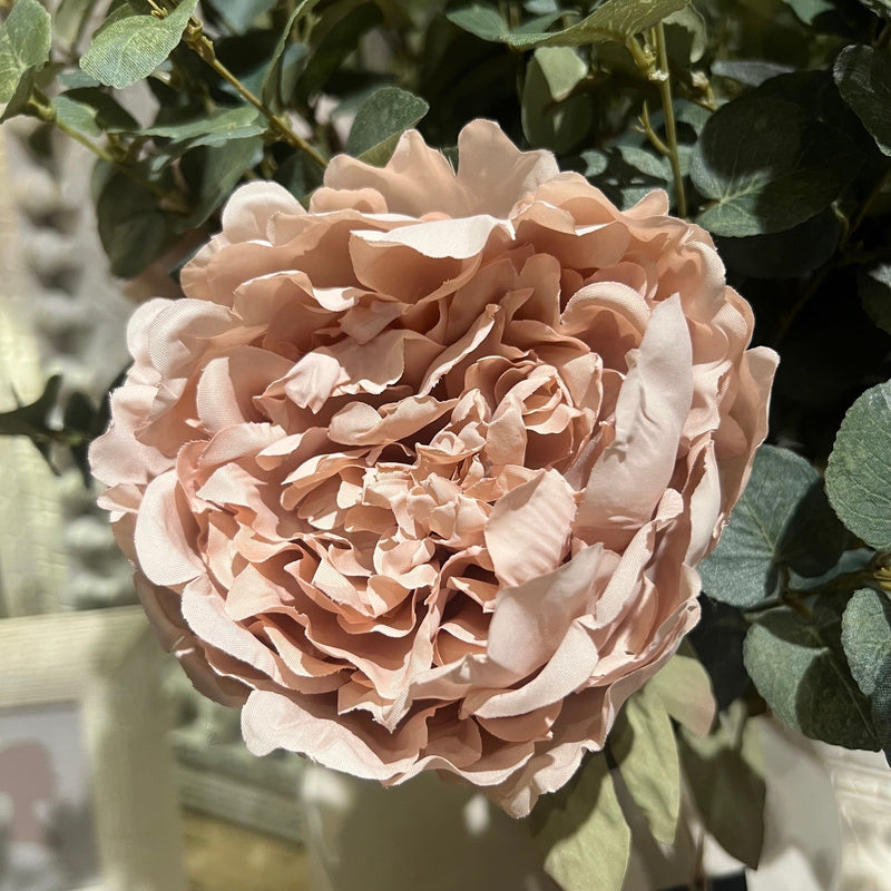 Soft Pink Peony Spray