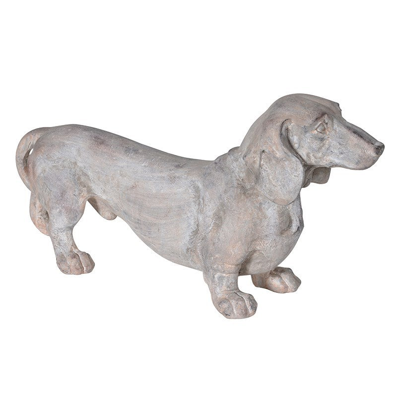 Grey Dachshund Dog