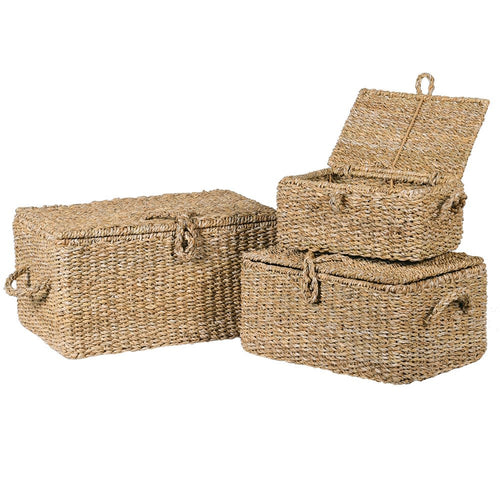 Set of 3 natural woven trunks