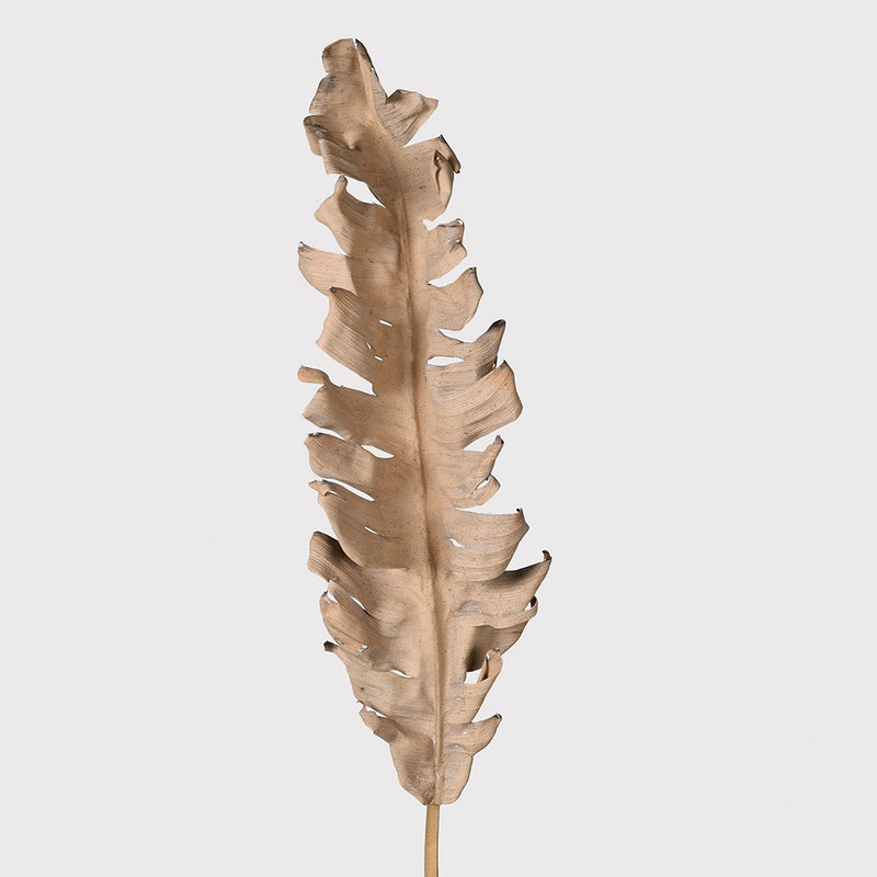 Faux Dried Banana Leaf