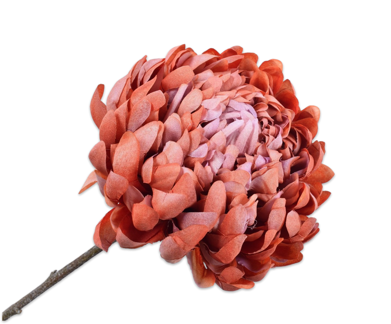 Orange And Brown Chrysanthemum Spray