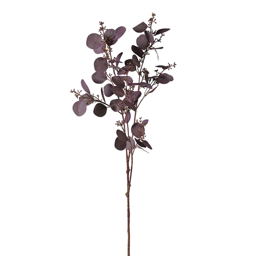 Purple Eucalyptus Spray