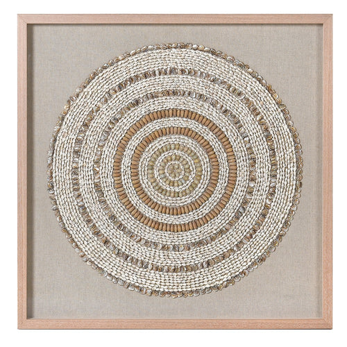 Seashell Circles Wall Art