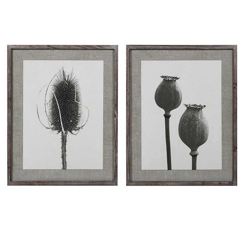 Set of 2 poppy and teasel flower prints